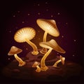 Golden glowing toadstool mushrooms in the dark on a hummock, vector illustration